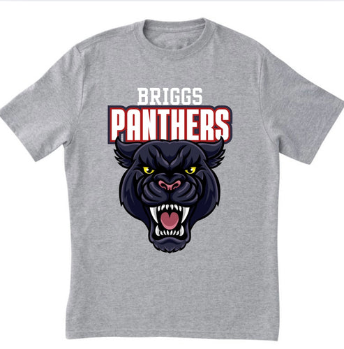 Briggs Panthers